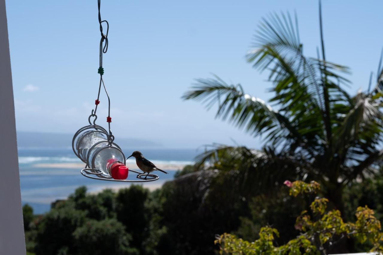 Room With A View Plettenberg Bay Eksteriør billede